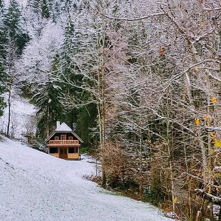 Biohof Prem * Sankt Kathrein am Offenegg